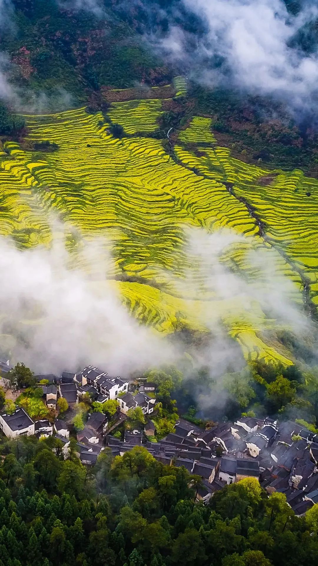 江西,东南古韵,活力画卷中的温婉之城