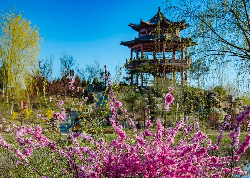 秦皇岛高科技产品引领科技潮流，开启未来生活新篇章体验